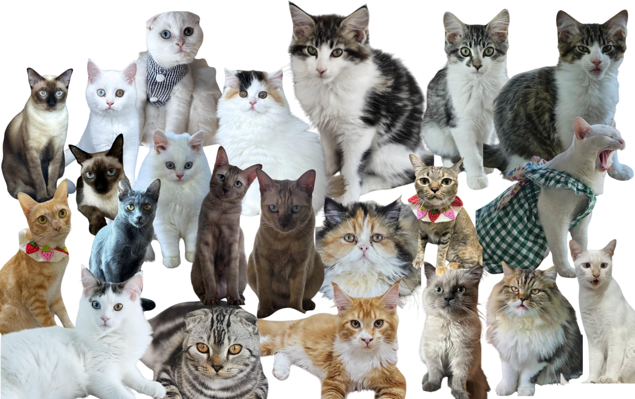 all